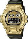 GM-6900CMG-3
